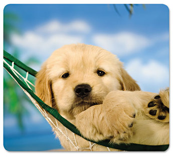 Fellowes® Recycled Mouse Pad 9 x 8, Puppy in Hammock Design