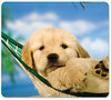 A Picture of product FEL-5913901 Fellowes® Recycled Mouse Pad 9 x 8, Puppy in Hammock Design