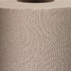 A Picture of product 875-123 Pacific Blue Basic™ Jumbo Perforated Roll Towel, 2-Ply, 11" x 8.8", Brown, 250 Sheets/Roll, 12 Rolls/Case