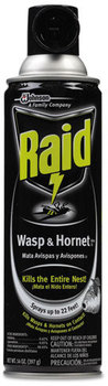 Raid® Wasp and Hornet Killer, 14 oz Aerosol Spray, 12/Case