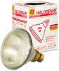 A Picture of product GEL-48692 GE Incandescent Reflector Light Bulb,  65 Watts