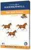 A Picture of product HAM-102848 Hammermill® Fore® MP Multipurpose Paper,  96 Bright, 24lb, 11 x 17, White, 500 Sheets