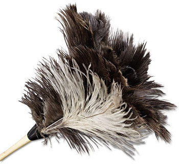 Boardwalk® Professional Ostrich Feather Duster,  7" Handle