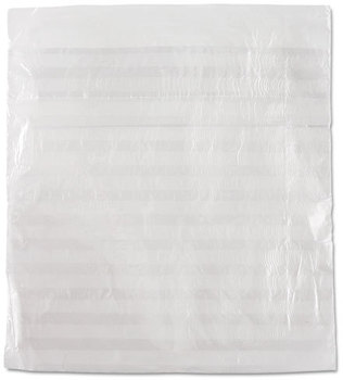 Inteplast Group Food Bags,  1 x 6 3/4 x 6 3/4, .36mil, Clear, 2000/Carton