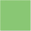 A Picture of product PAC-57125 Pacon® Fadeless® Paper Roll,  48" x 50 ft., Nile Green