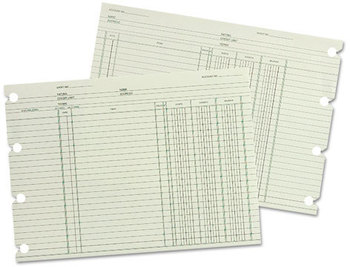 Wilson Jones® Double Entry Ledger Form,  9-1/4 x 11-7/8, 100 Loose Sheets/Pack