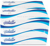 A Picture of product WIN-2430 Windsoft® White Facial Tissue,  100/Box, 6 Boxes/Pack