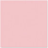 A Picture of product PAC-57025 Pacon® Fadeless® Paper Roll,  48" x 50 ft., Brown