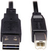 A Picture of product TRP-UR022006 Tripp Lite USB 2.0 Gold Cable,  6 ft, Black, USB A Male to B Male Device