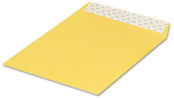 Quality Park™ Redi-Strip™ Catalog Envelope,  10 x 13, 28lb, Brown Kraft, 100/Box