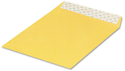 QUALITY PARK PRODUCTS 44762 Quality Park™ Redi-Strip™ Catalog Envelope, 10  x 13, 28lb, Brown Kraft, 100/Box | Baumann Paper