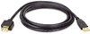 A Picture of product TRP-U024006 Tripp Lite USB 2.0 Gold Cable,