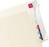 A Picture of product TAB-68386 Tabbies® Label/File Folder Protector,  End Tab Folder, 8x2, Clear, 100/PK
