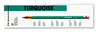 A Picture of product SAN-2262 Prismacolor® Turquoise® Drawing Pencil,  HB, 1.98 mm, Dozen