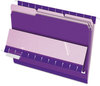 A Picture of product PFX-421013VIO Pendaflex® Interior File Folders 1/3-Cut Tabs: Assorted, Letter Size, Violet, 100/Box