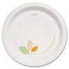 A Picture of product SCC-OFMP9 SOLO® Cup Company Bare® Eco-Forward® Medium Weight Paper Dinnerware Plates. 8 1/2 in. Green/Tan. 250/carton.