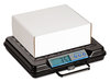 A Picture of product SBW-GP250 Brecknell 100 lb and 250 lb Portable Bench Scales,  250lb Capacity, 12 x 10 Platform