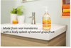 A Picture of product SEV-22925 Seventh Generation® Natural Hand Wash,  Mandarin Orange & Grapefruit, 12 oz Pump Bottle, 8/Carton